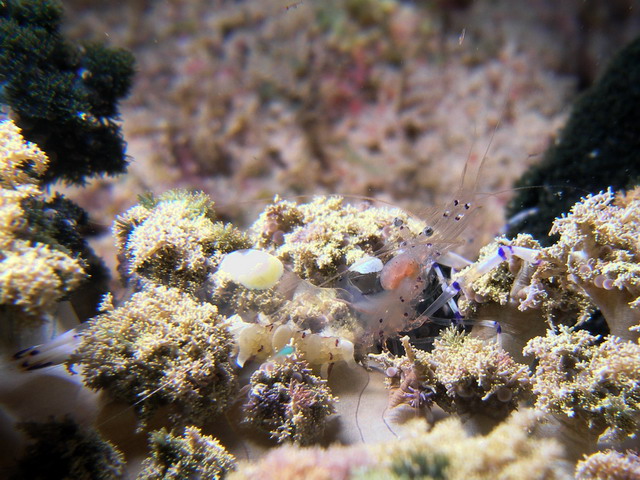 P6130157