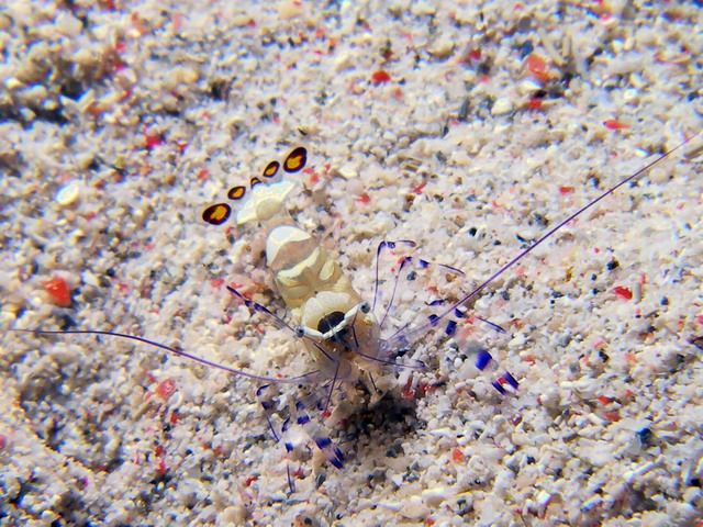 P6130167
