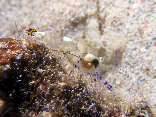 P6130172