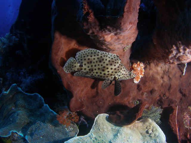 P6140001