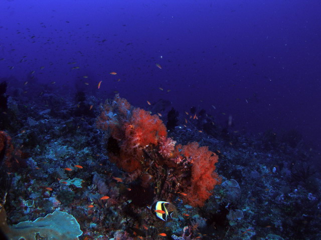 P6140011