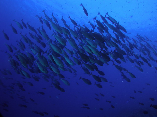 P6140018