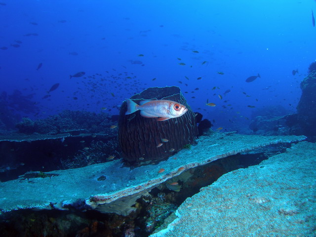 P6140033