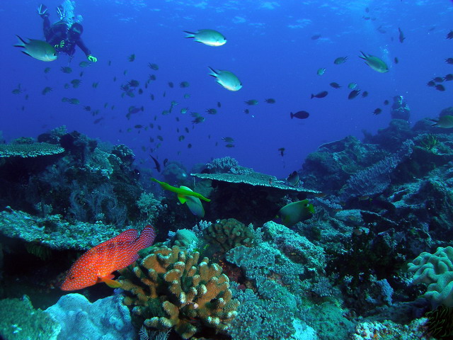 P6140047