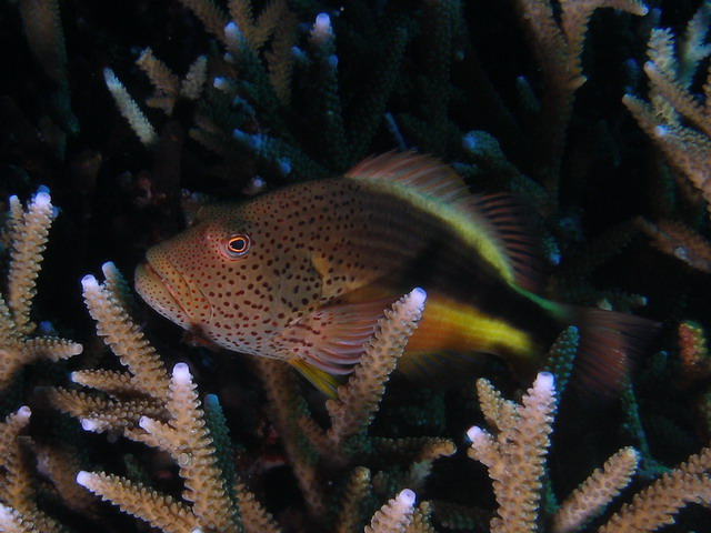 P6140091