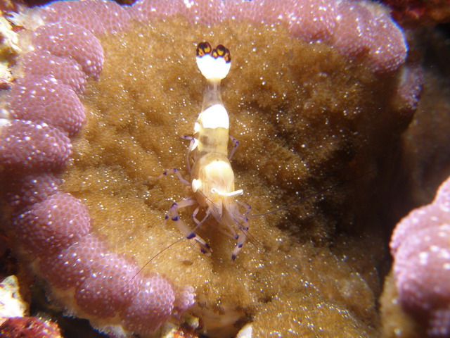 P6140097