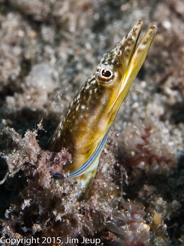 P7270897