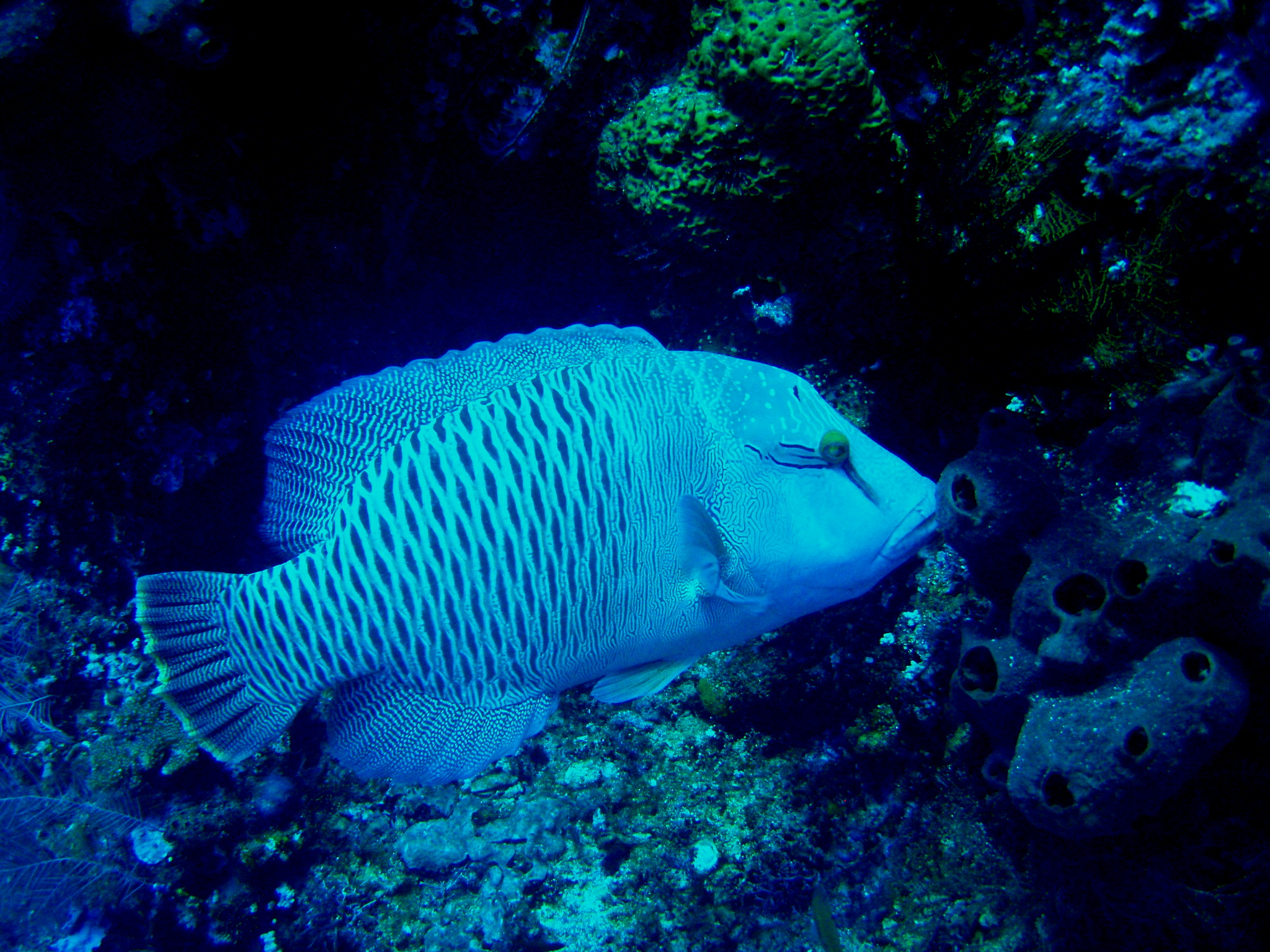 P9010464