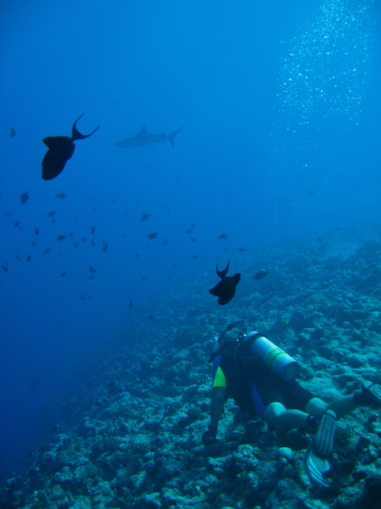 Palau_2006_-_00941