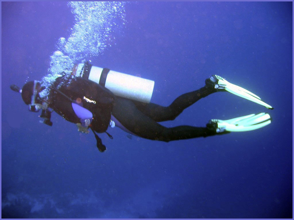 Pam Diving - Roatan