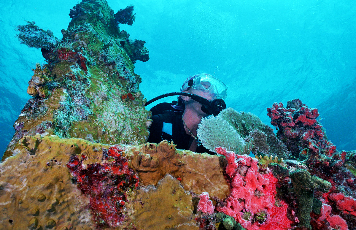Pam on the beautiful wreck - the Benwood
