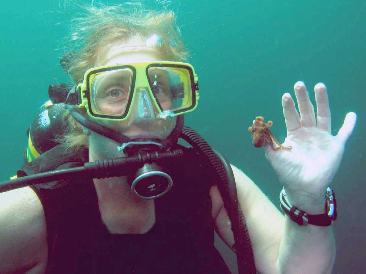 Panama City Baby Octopus