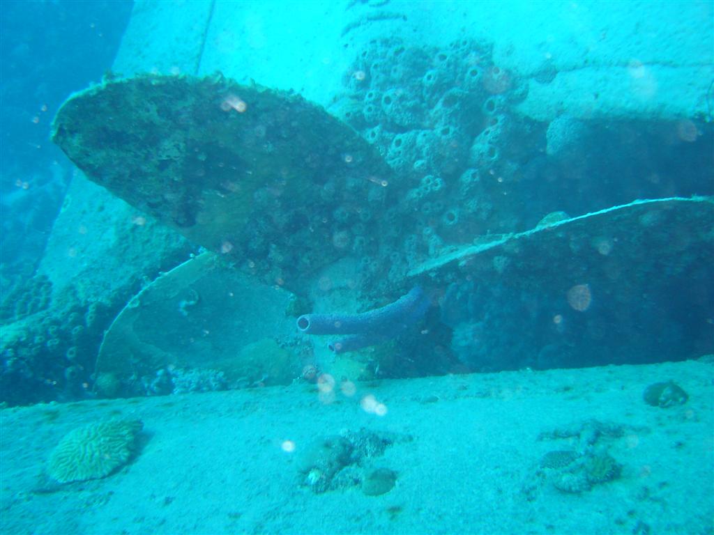 Paradise Divers Bonaire Trip