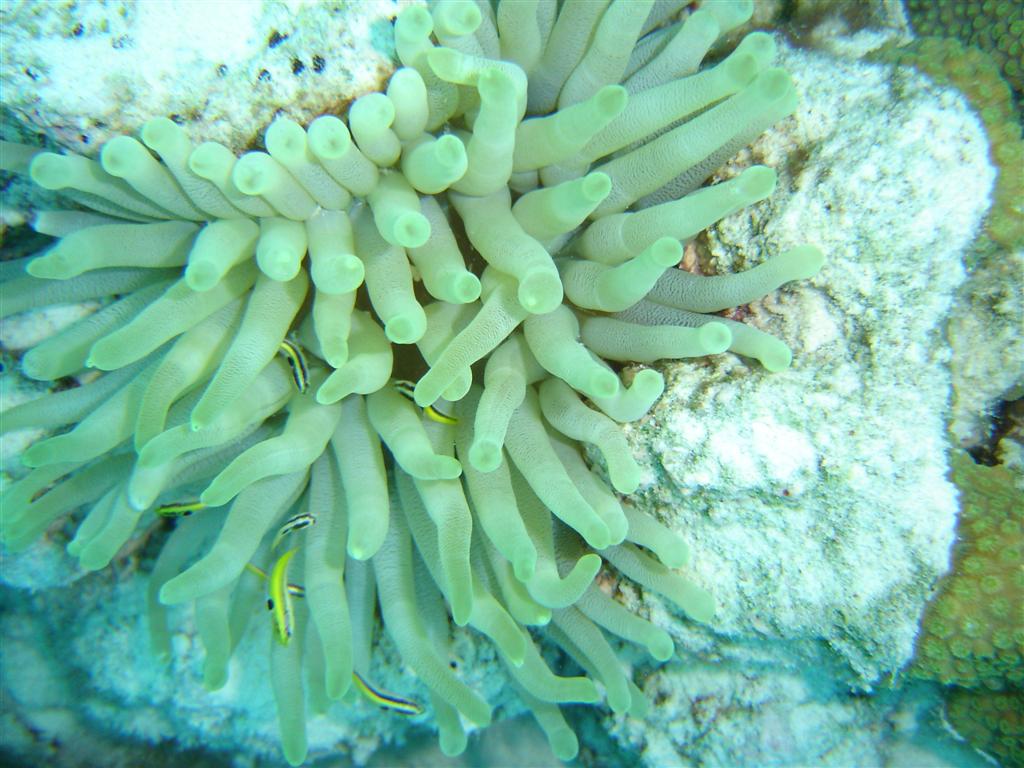 Paradise Divers Bonaire Trip