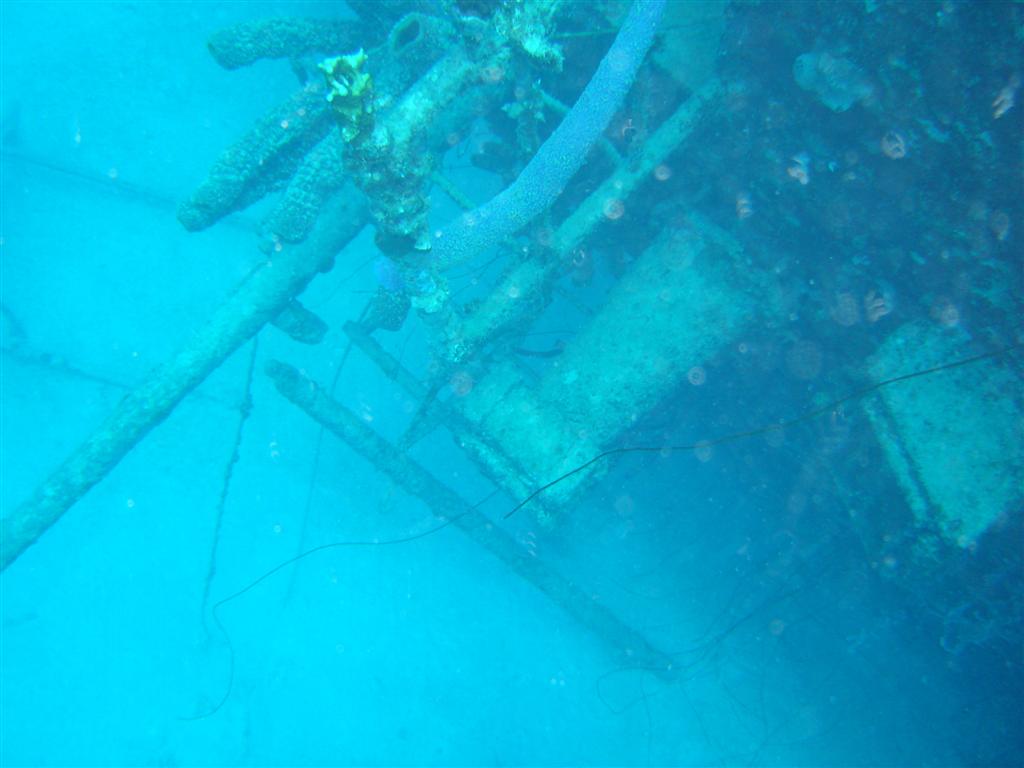 Paradise Divers Bonaire Trip