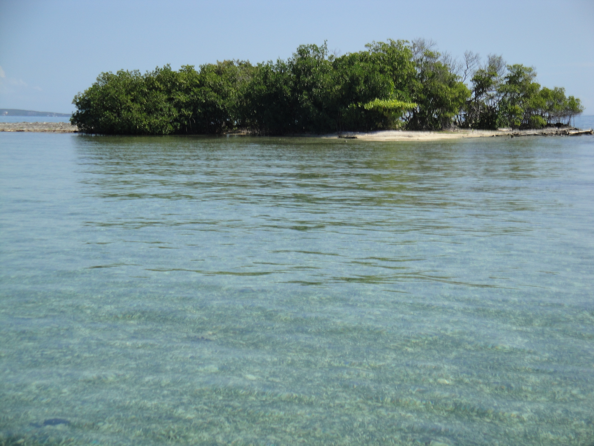 Parguera Boat Trip's