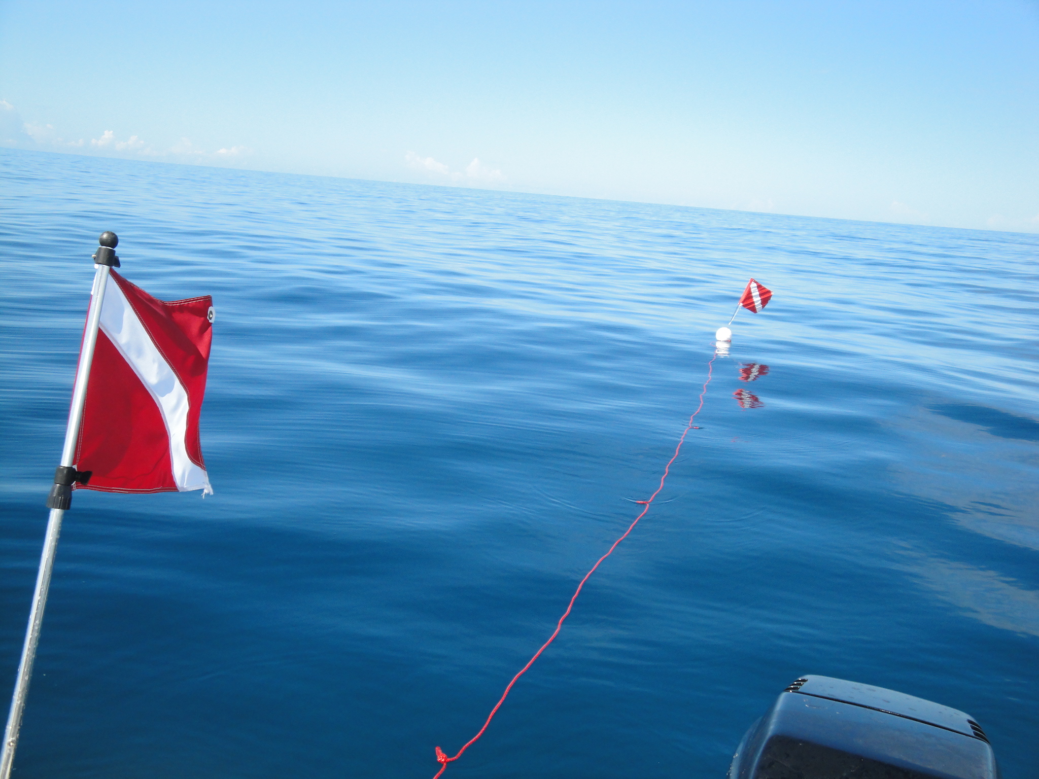 Parguera Boat Trip's