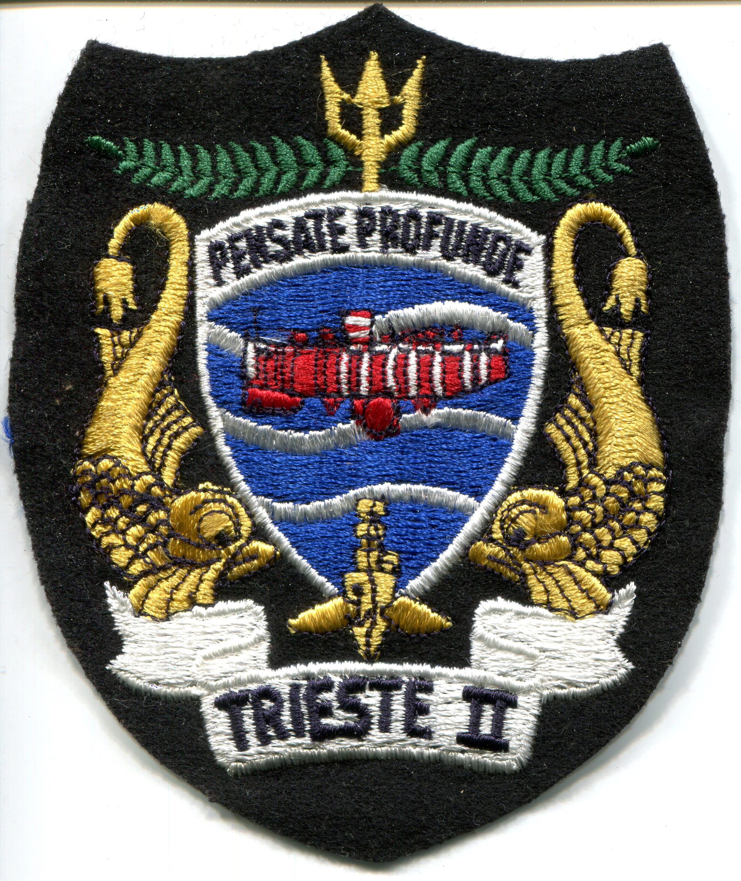 Patch-Trieste2a