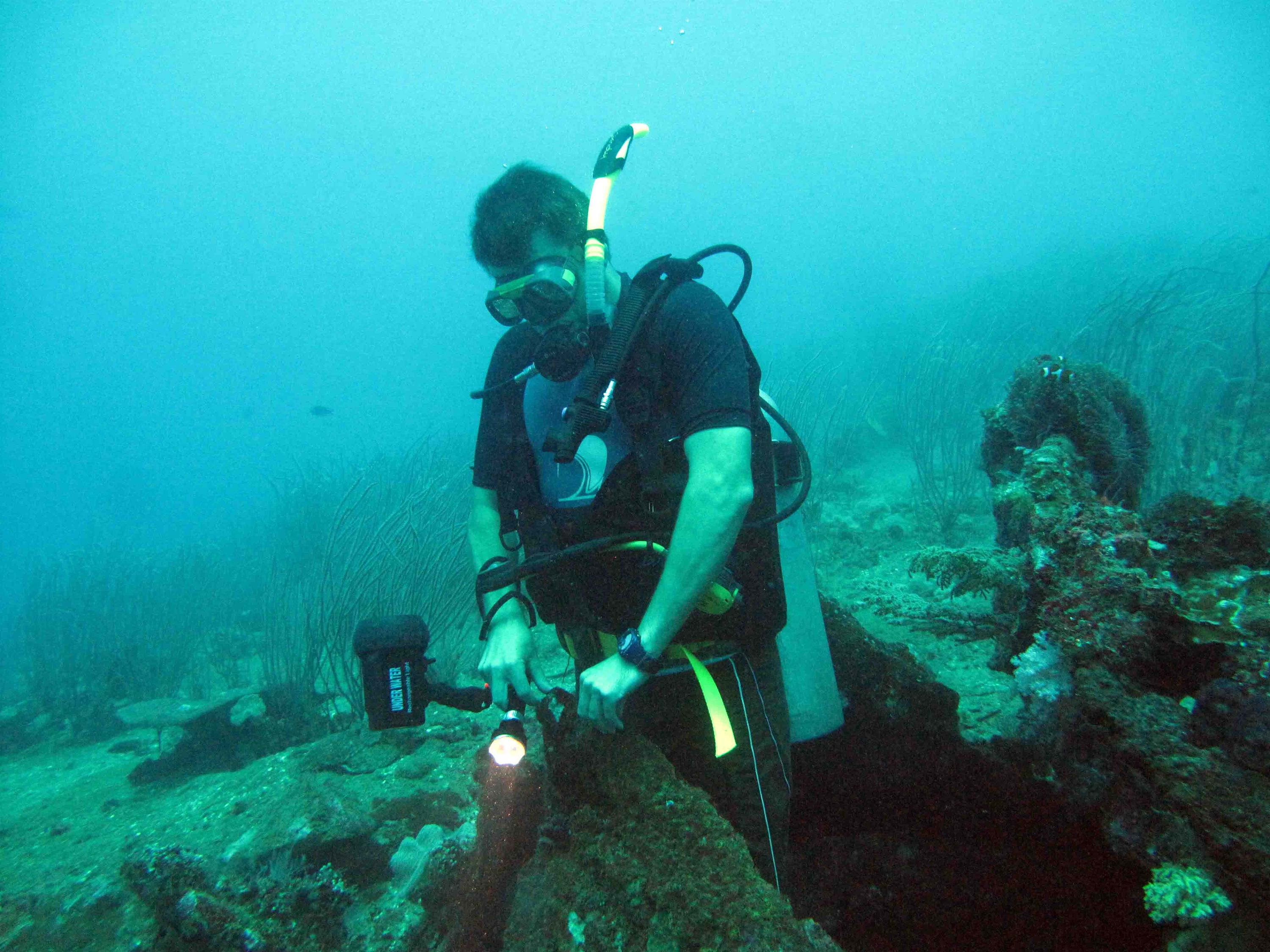 Paul emerging onto deck