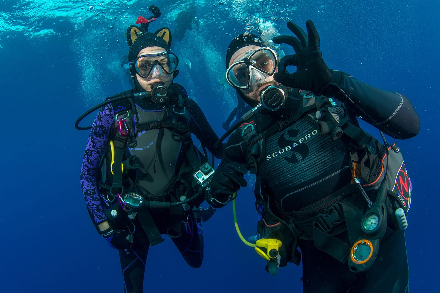 Pawel And Ashley Shark Dive