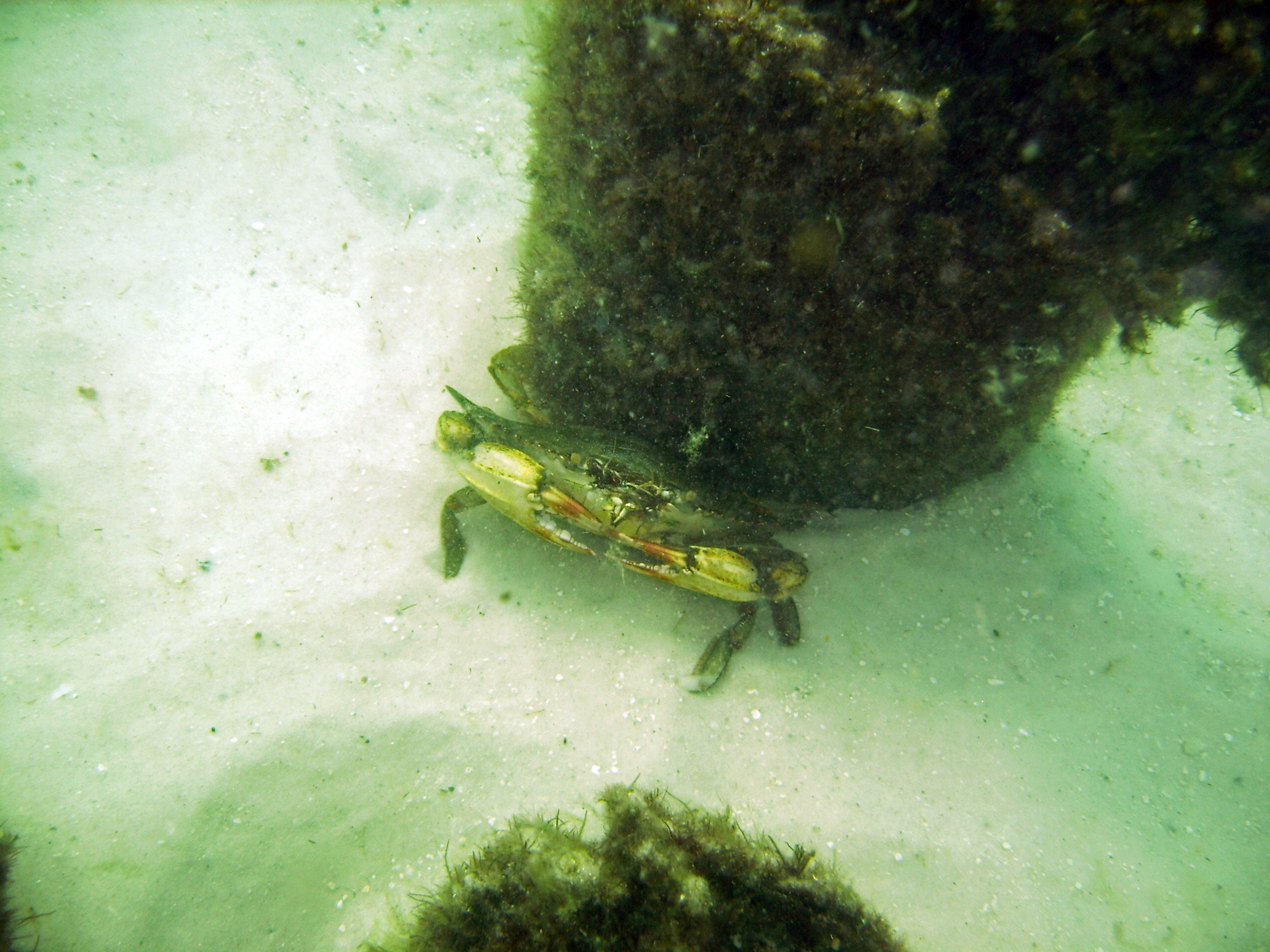 Pensacola Beach 6-30-07