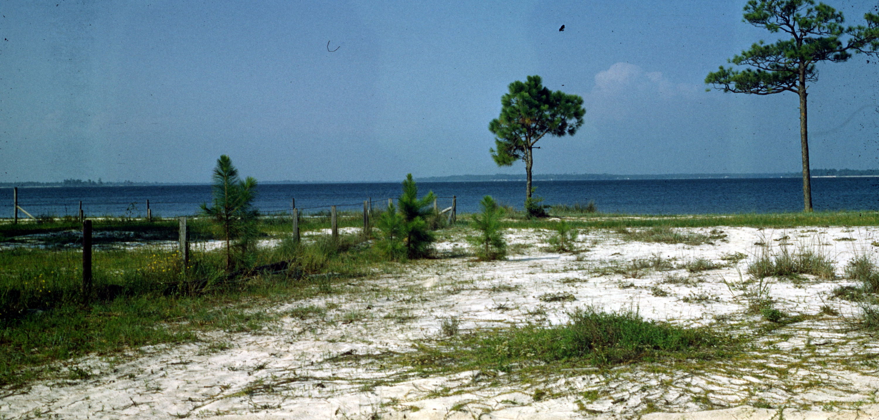Perdido Bay from Soldier Creek looking South