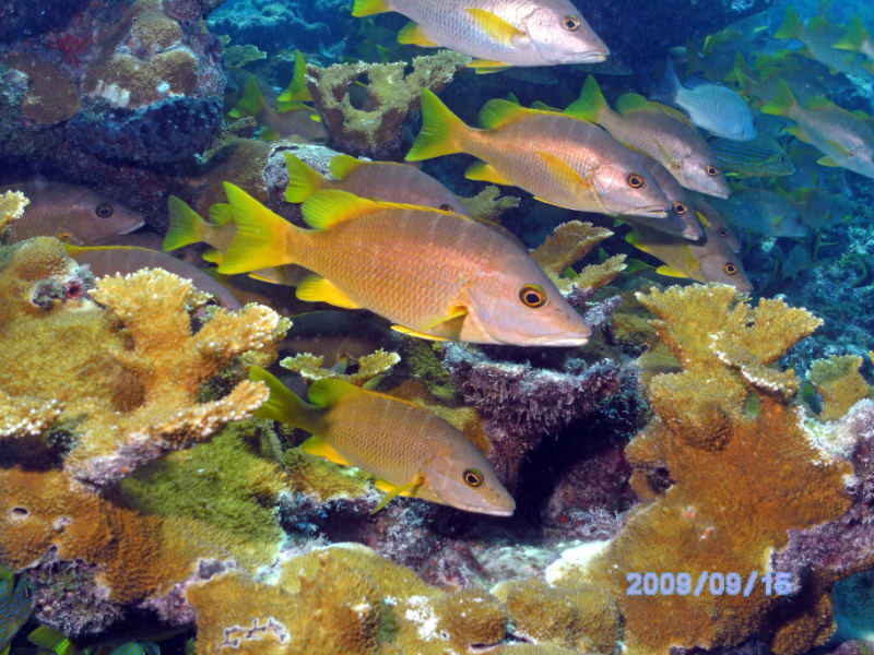 PICT0038_edited-1
