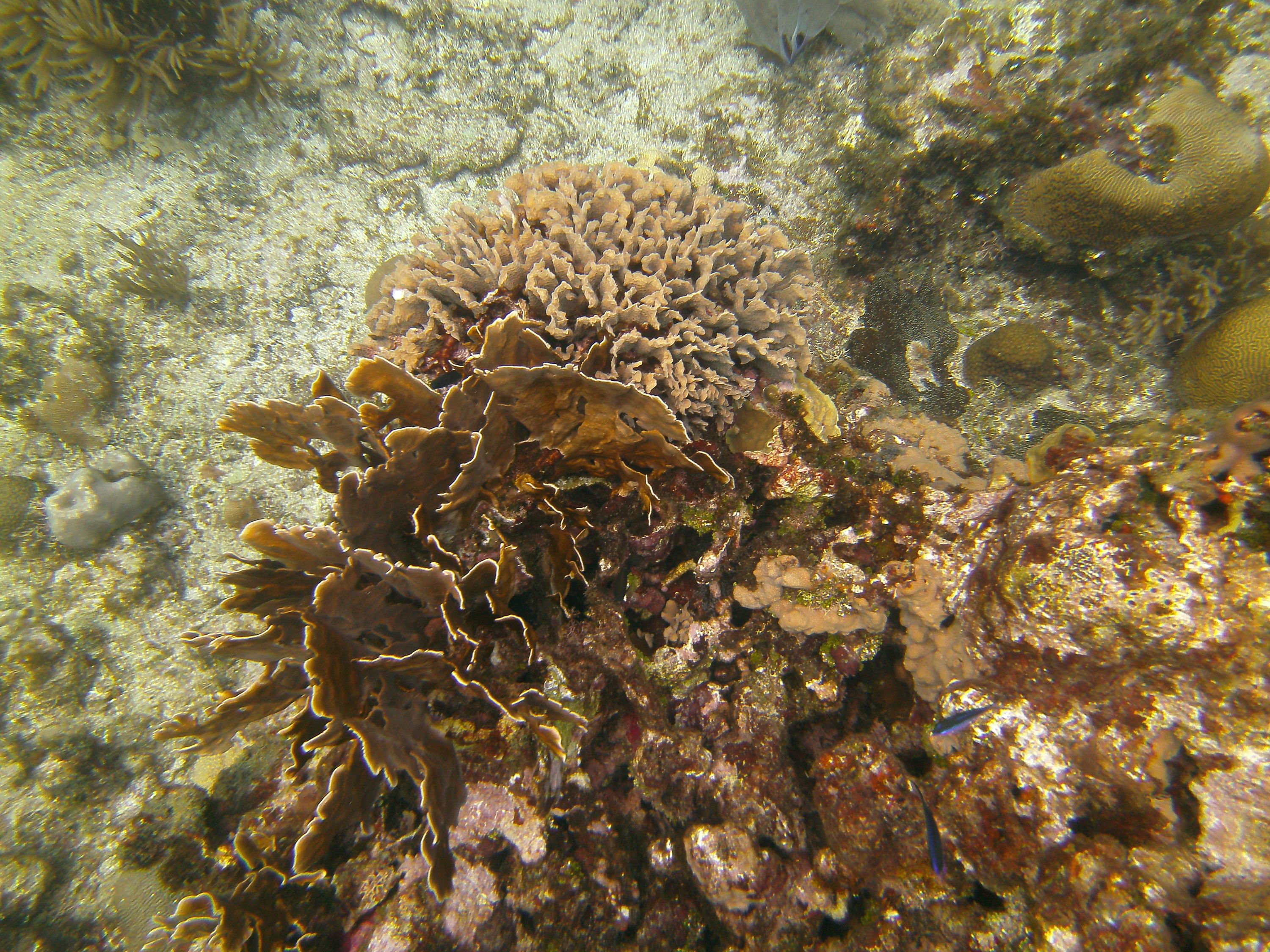 PICT017013