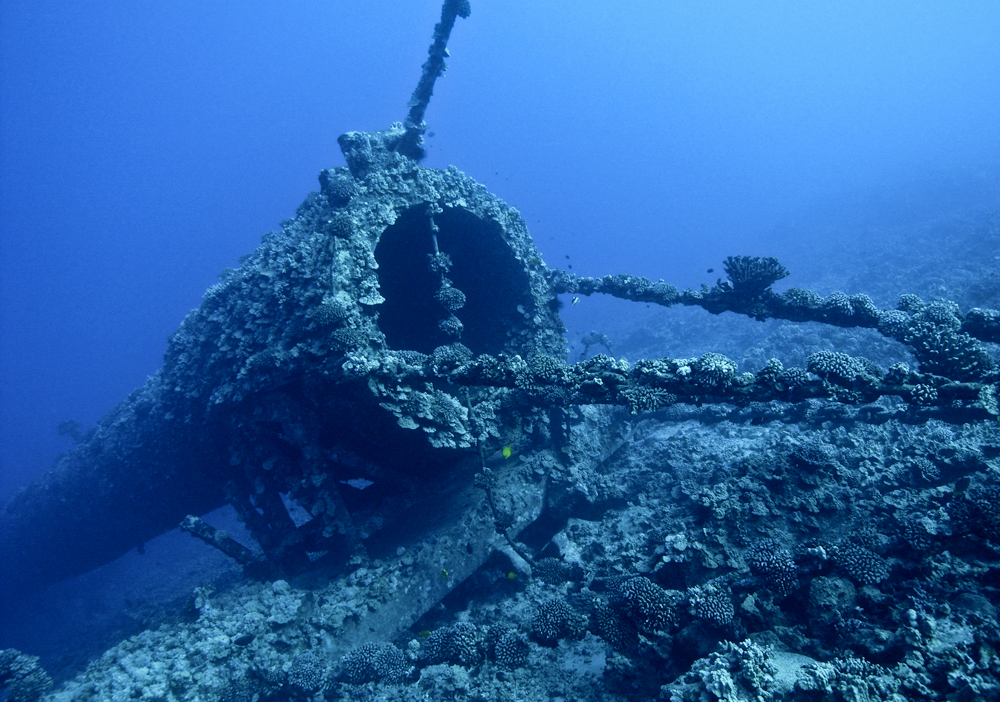 Pipe off kialua kona.