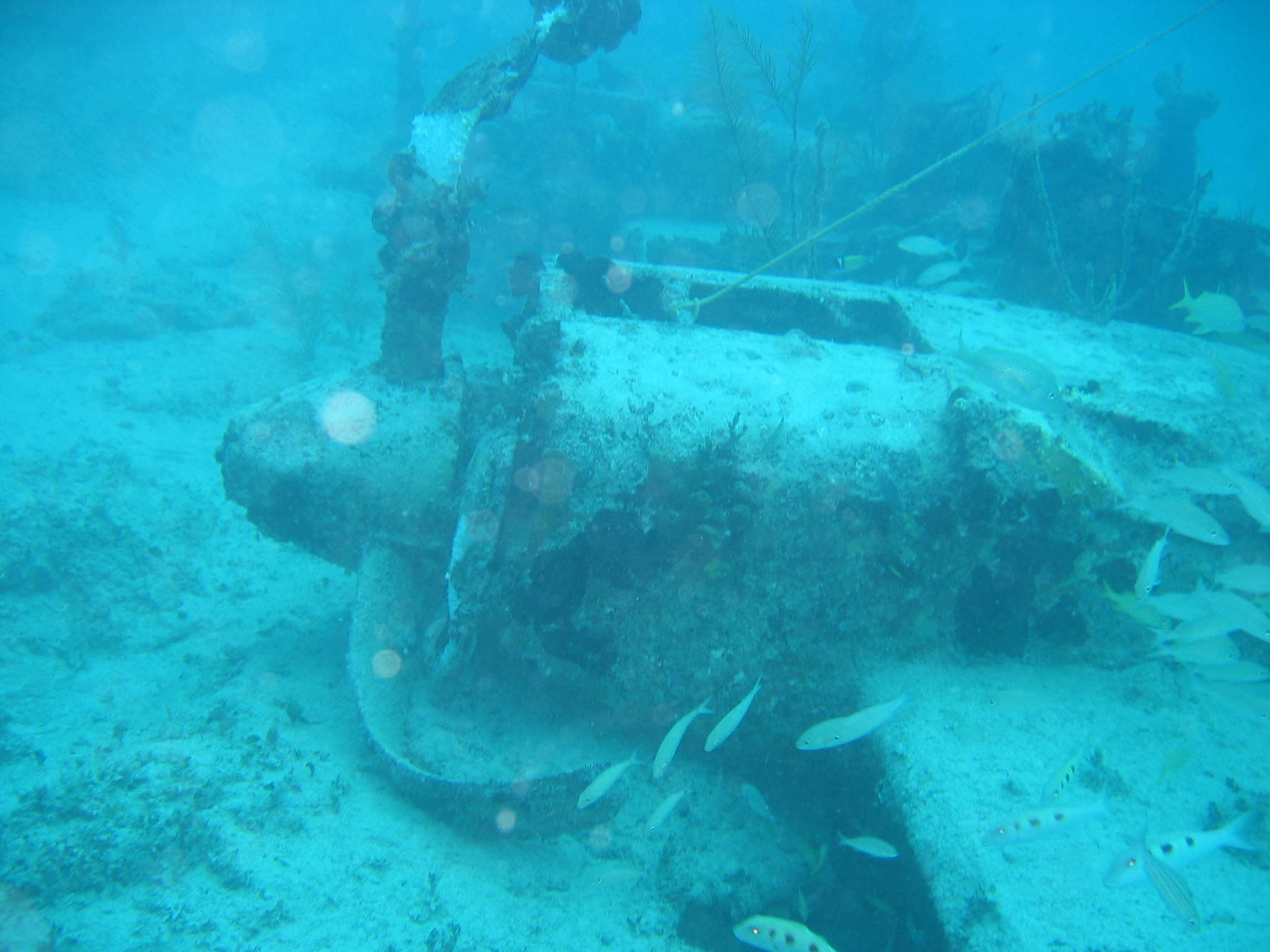 Plane Wreck, Bahamas