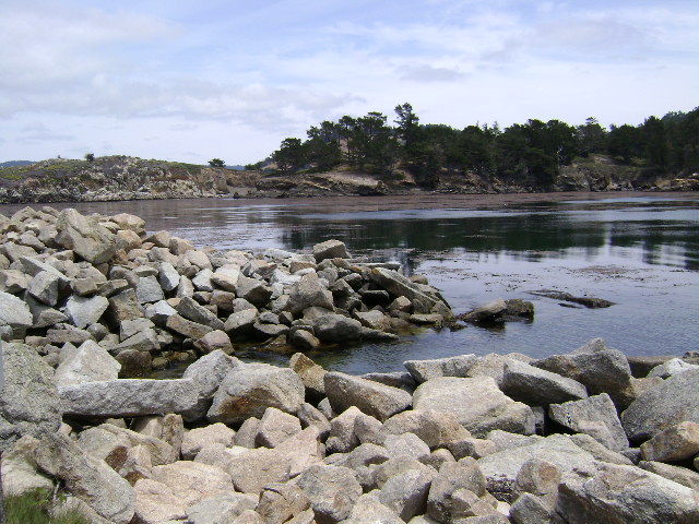 Point Lobos June 12