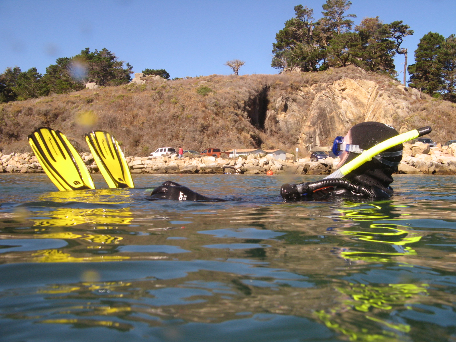 Point Lobos