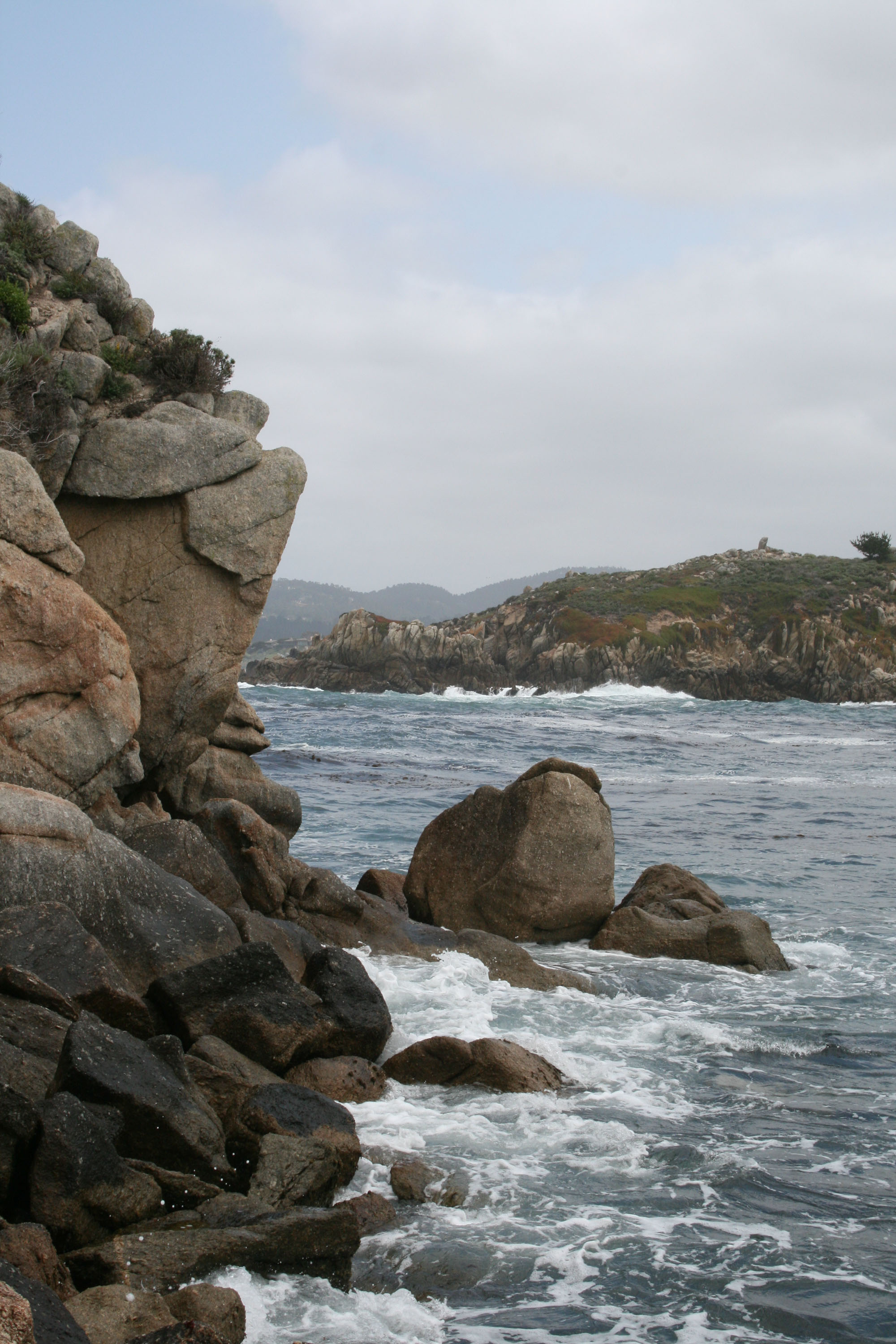 Point_Lobos_Scenery