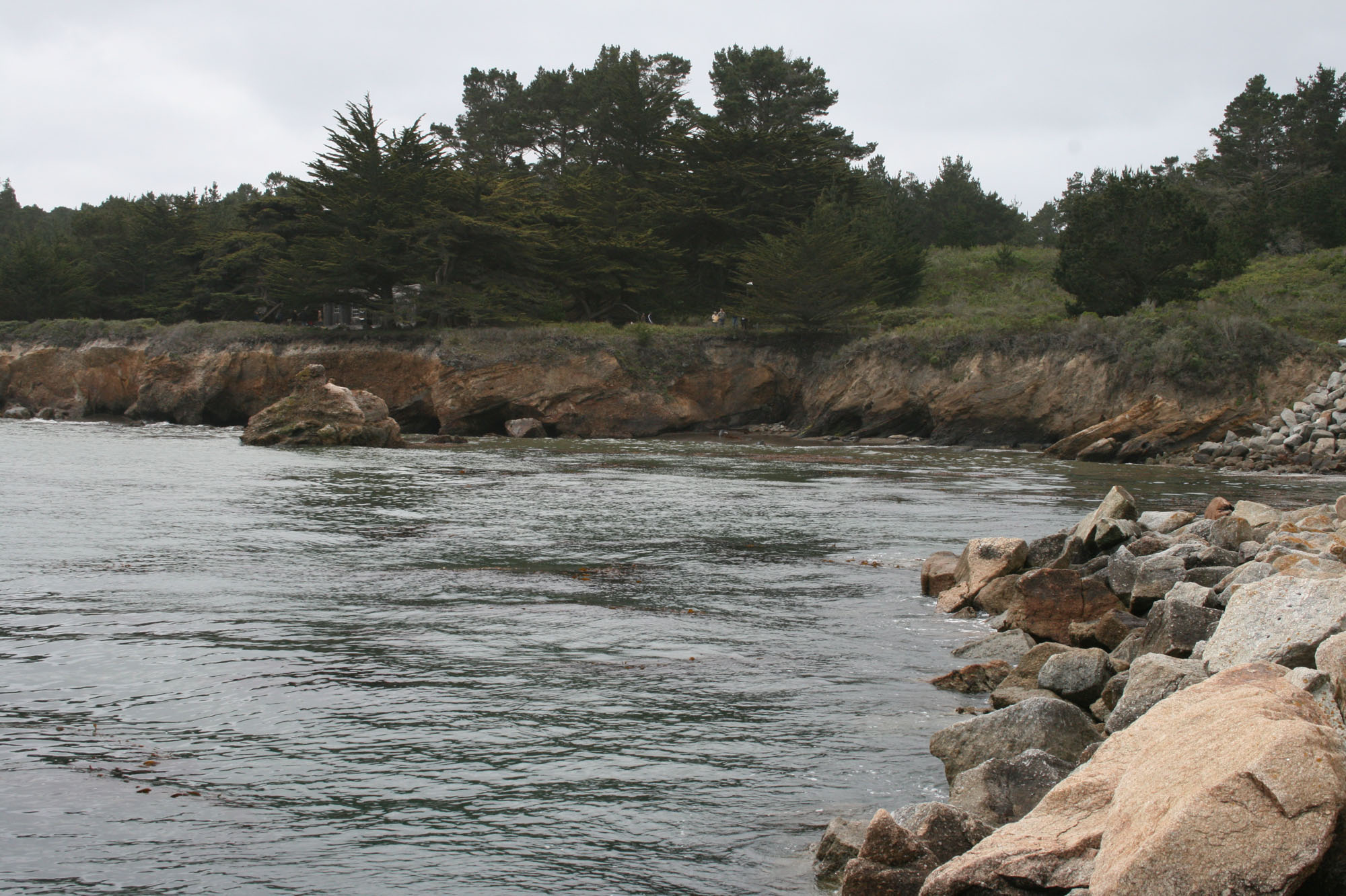 Point_Lobos_Scenery_1_1