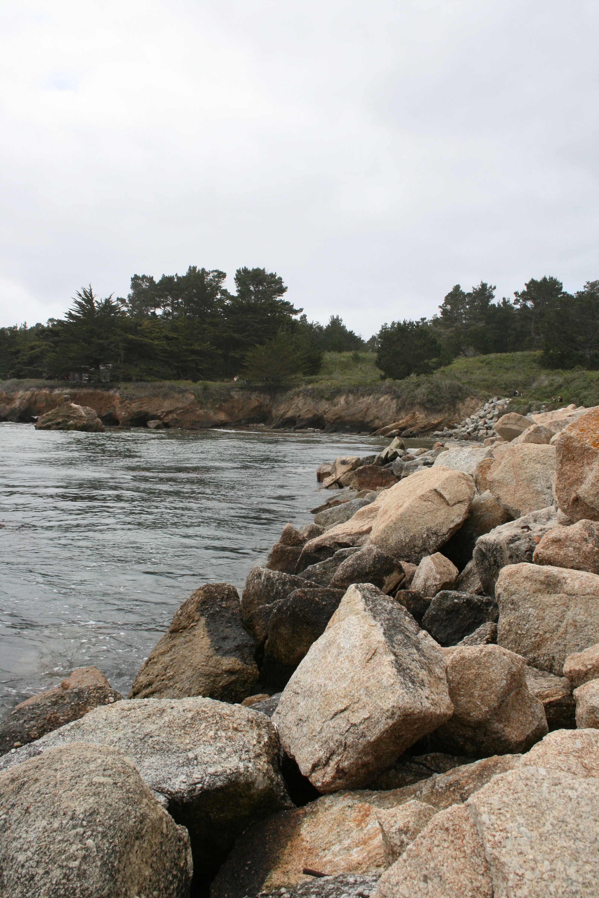 Point_Lobos_Scenery_3_