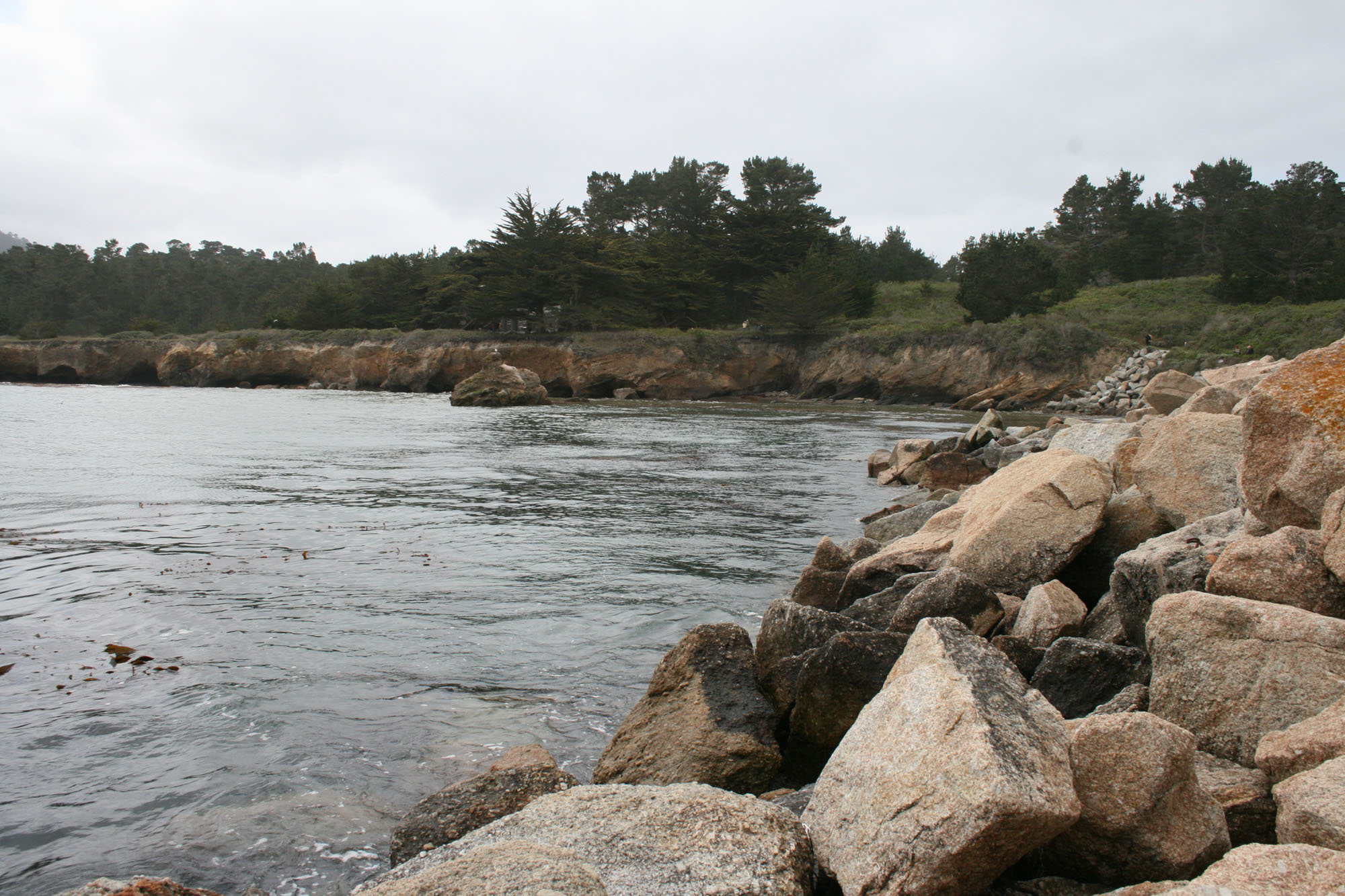 Point_Lobos_Scenery_4_