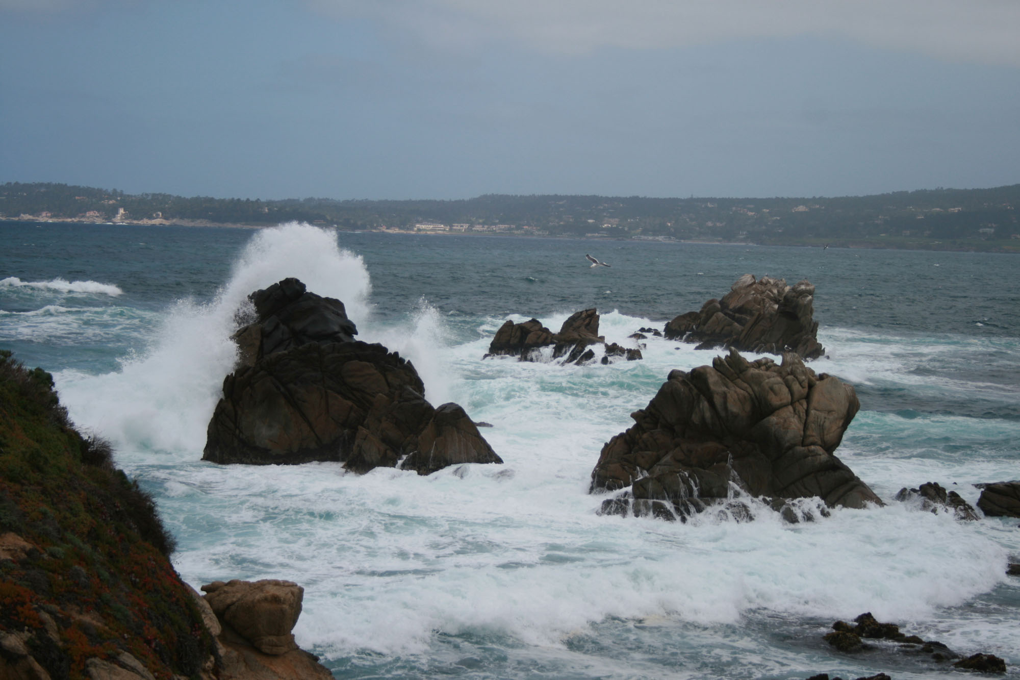 Point_Lobos_Scenery_9_