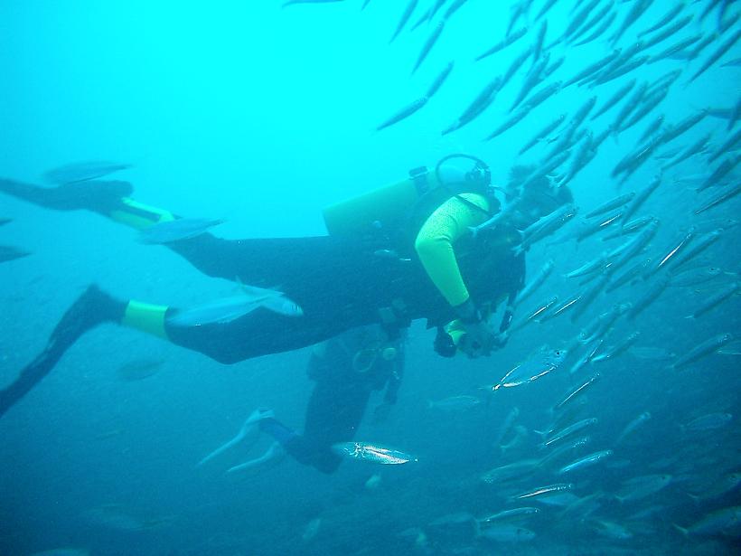 Ponta Du Ouro April 2012 - Doodles