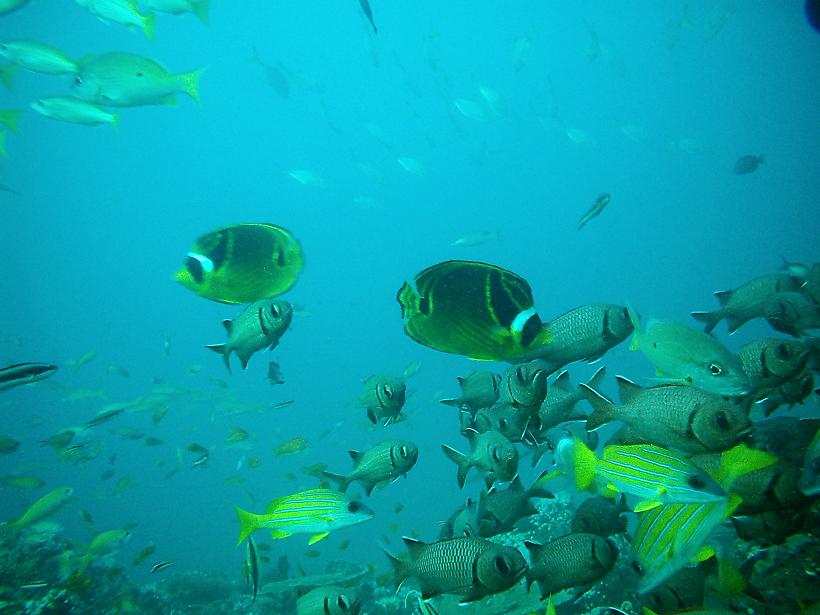 Ponta Du Ouro April 2012 - Kevs & Checkers