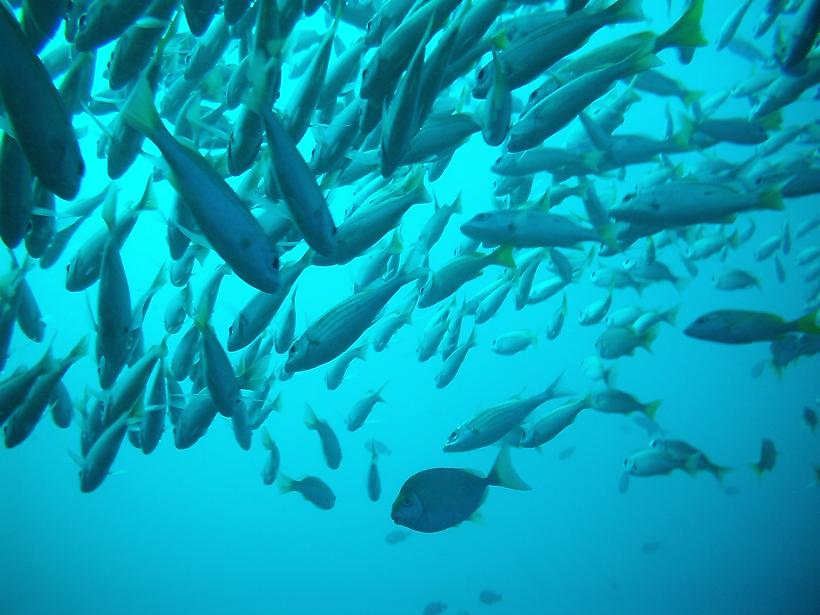 Ponta Du Ouro April 2012 - Kevs & Checkers