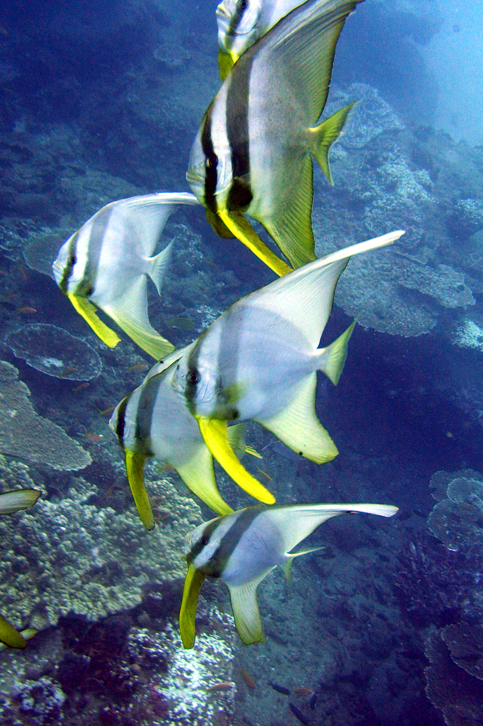 Ponta Du Ouro