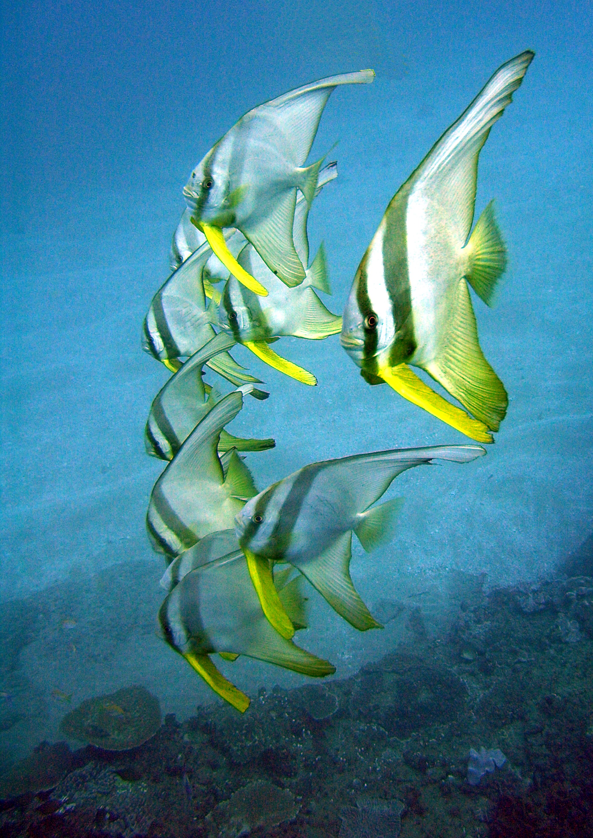 Ponta Du Ouro