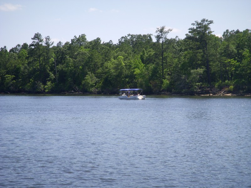 Pontoon boat on Cooper River