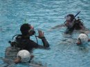 Pool dive with Johnny