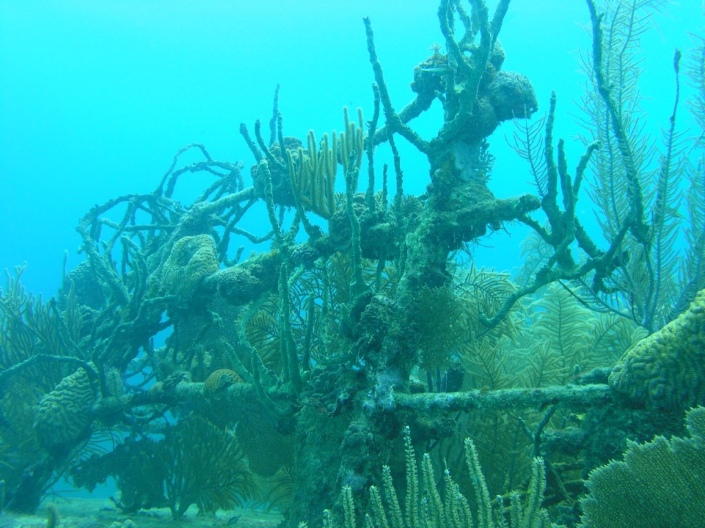 Prince Albert Wreck