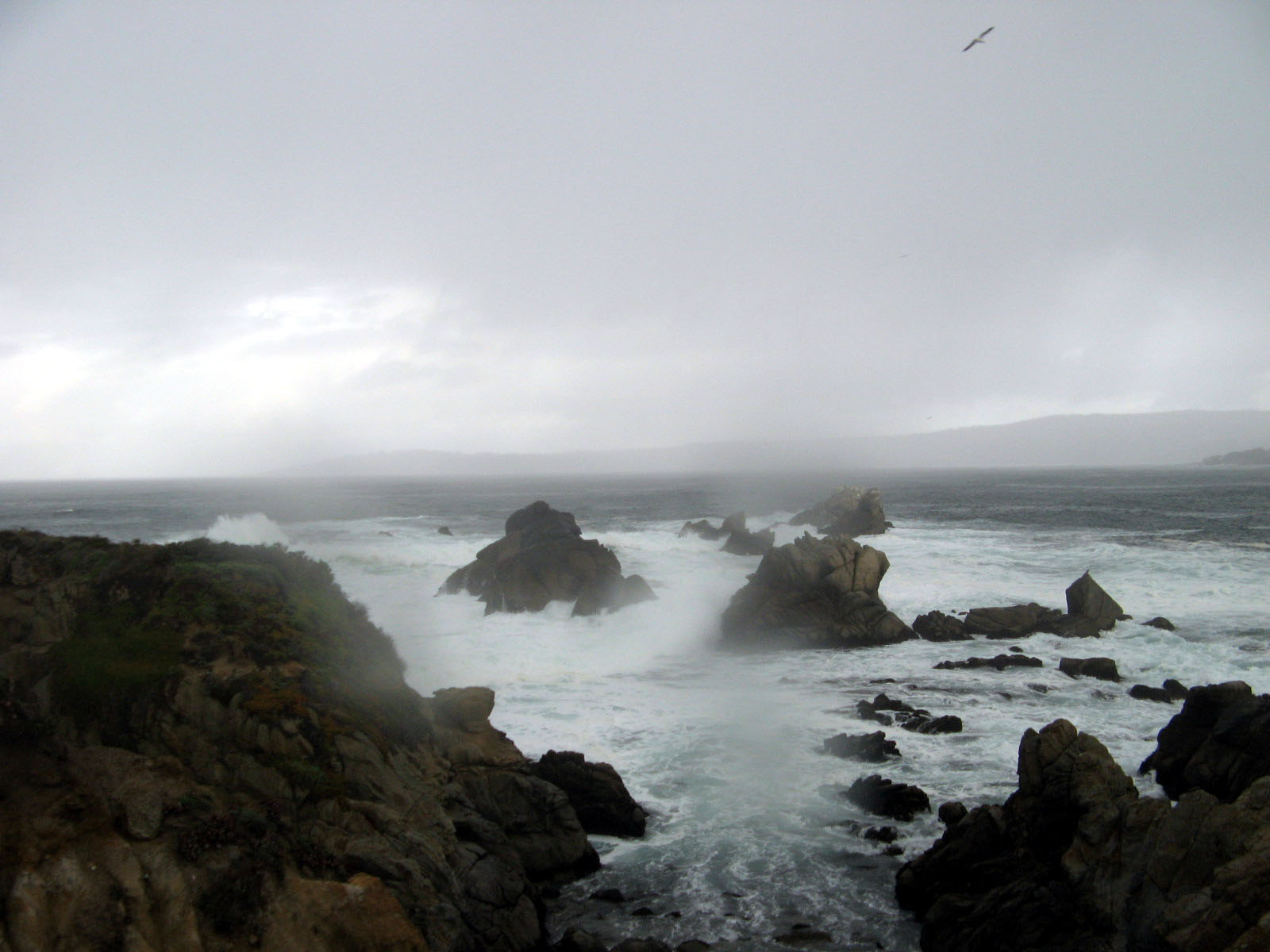 Pt Lobos conditions upon arrival