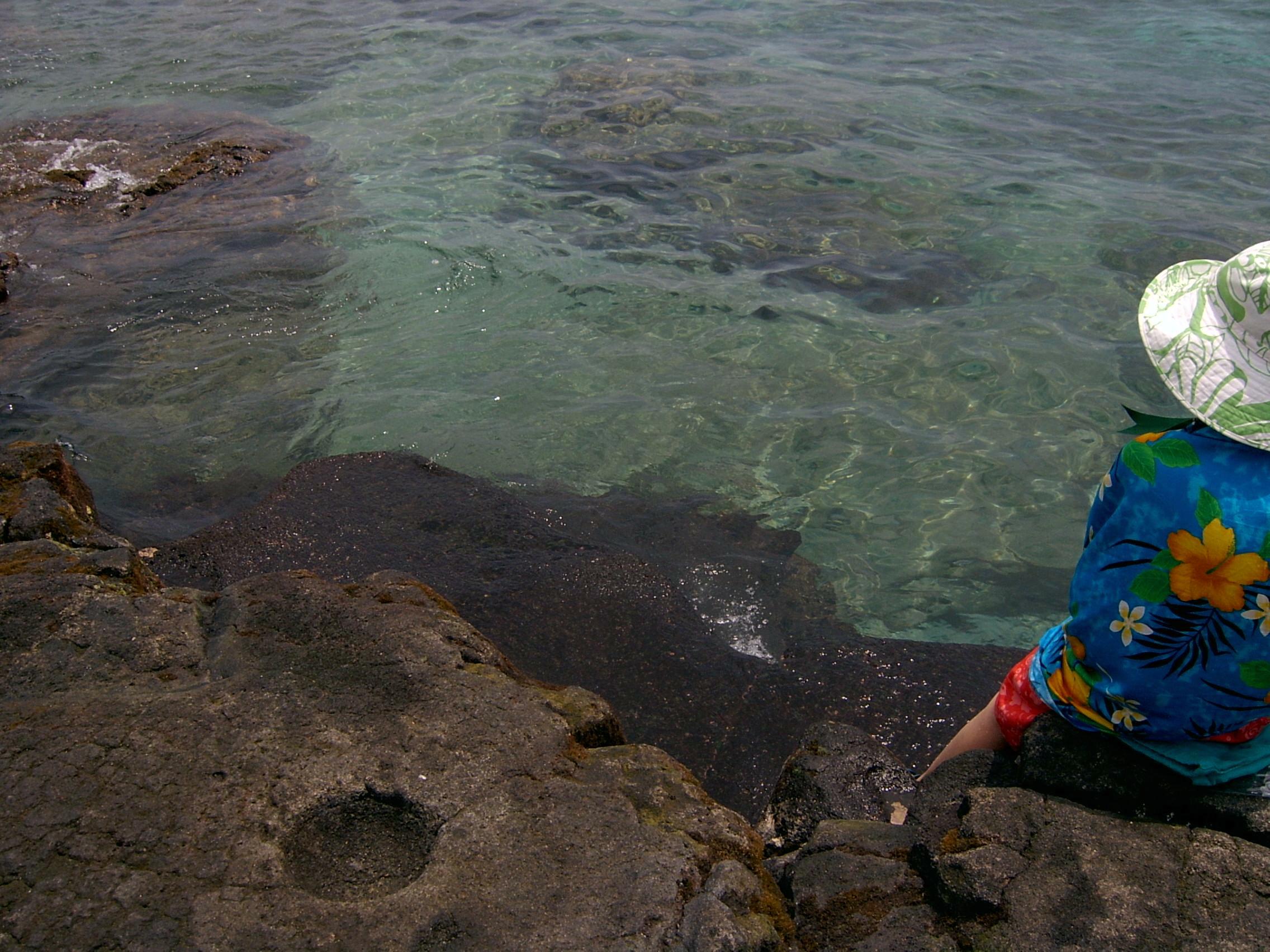 Pu uhonua a Honaunau, one of entry/exitsteps