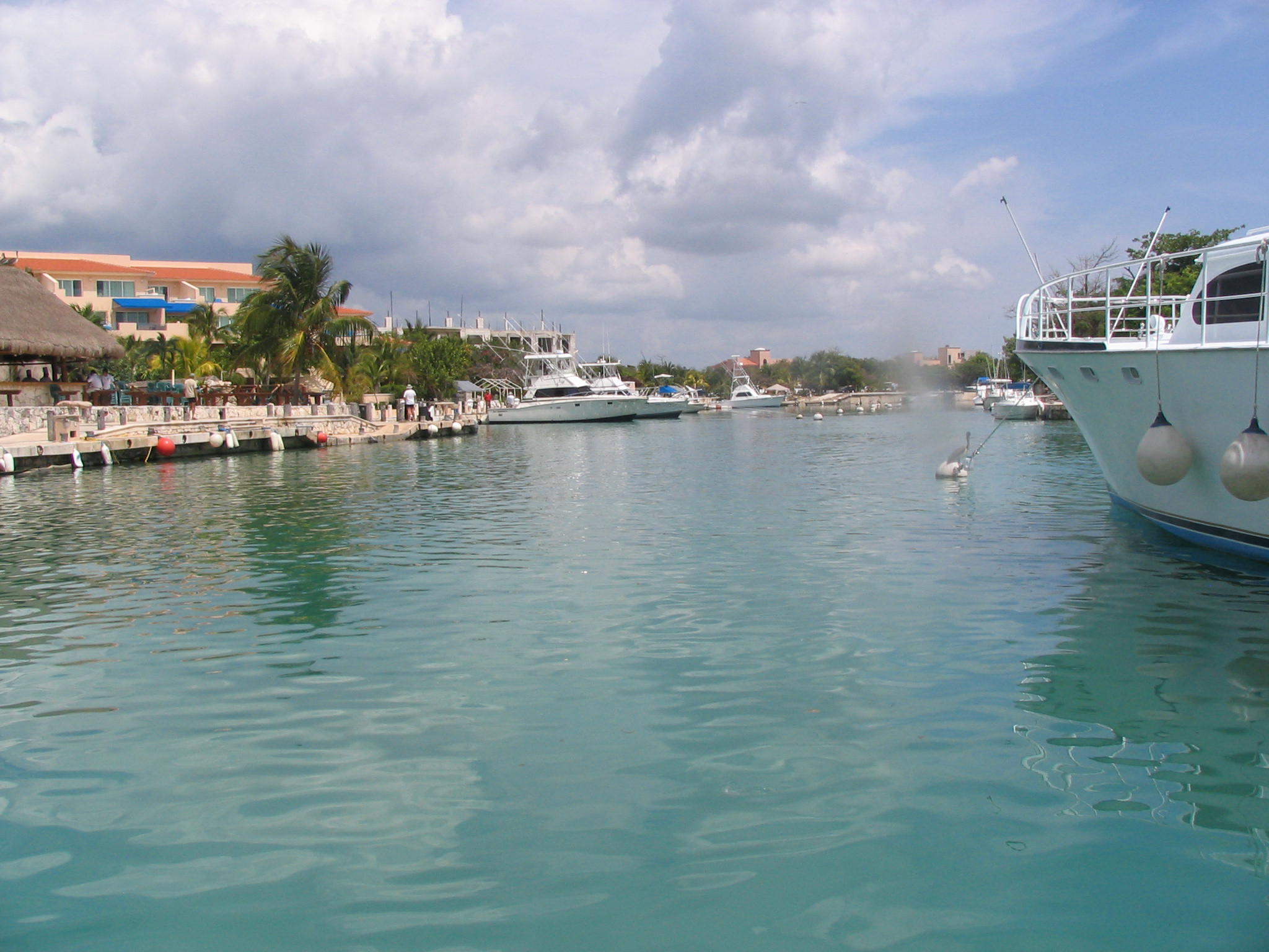 Puerto Aventuras 2008