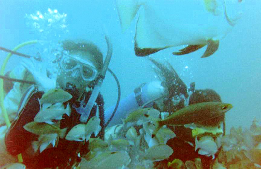 Puerto Galera , Sabang Wreck PH