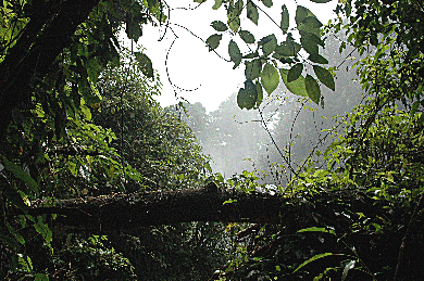 Pulhanpalzak Waterfall